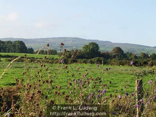 Around Lough Arrow